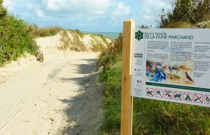 Dune Marchand Zuydcoote