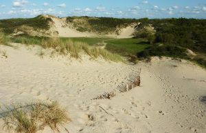 Dune Marchand Zuydcoote