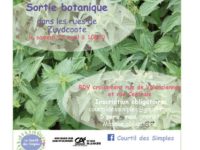 SORTIE BOTANIQUE