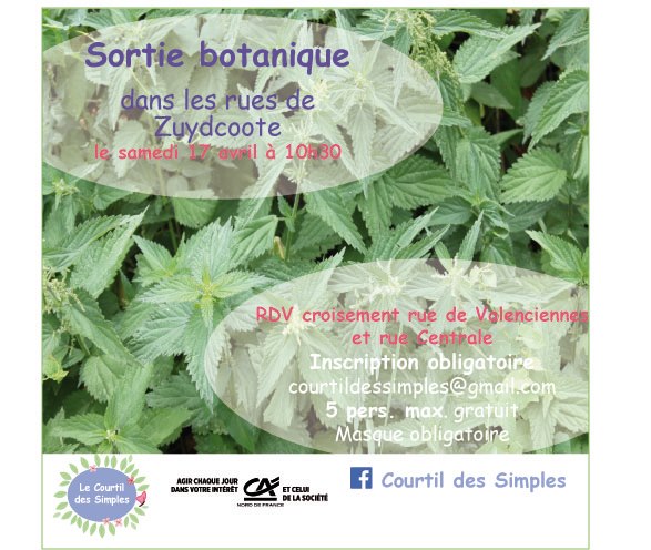 SORTIE BOTANIQUE