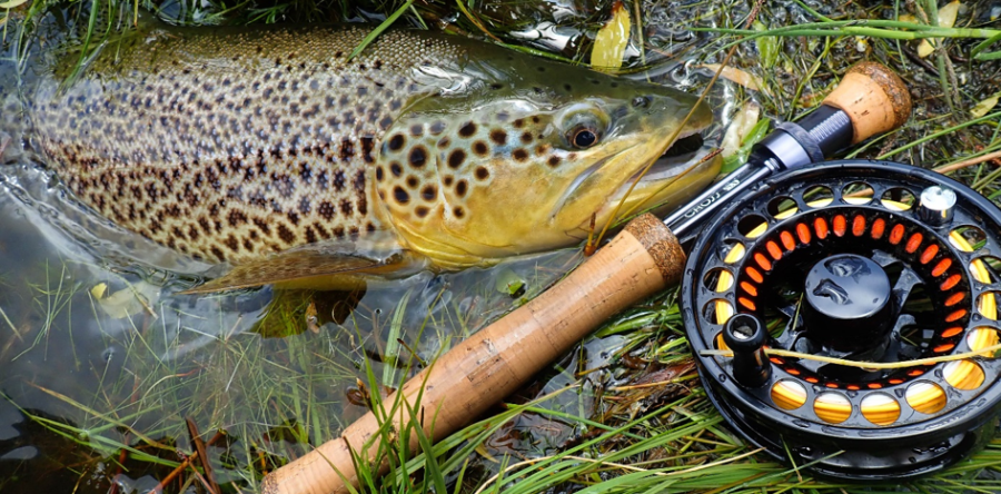 CONCOURS DE PÊCHE A L’AMÉRICAINE