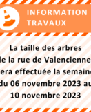 Taille des arbres rue de Valenciennes