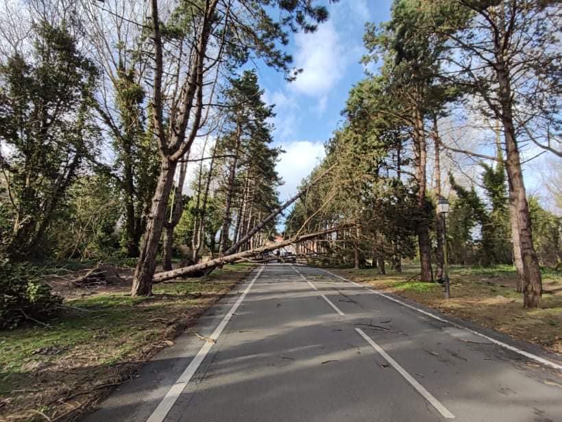 Tempête Ciaran – 1er et 2 novembre 2023