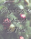 Recyclage de vos sapins de Noël
