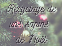 Recyclage de vos sapins de Noël