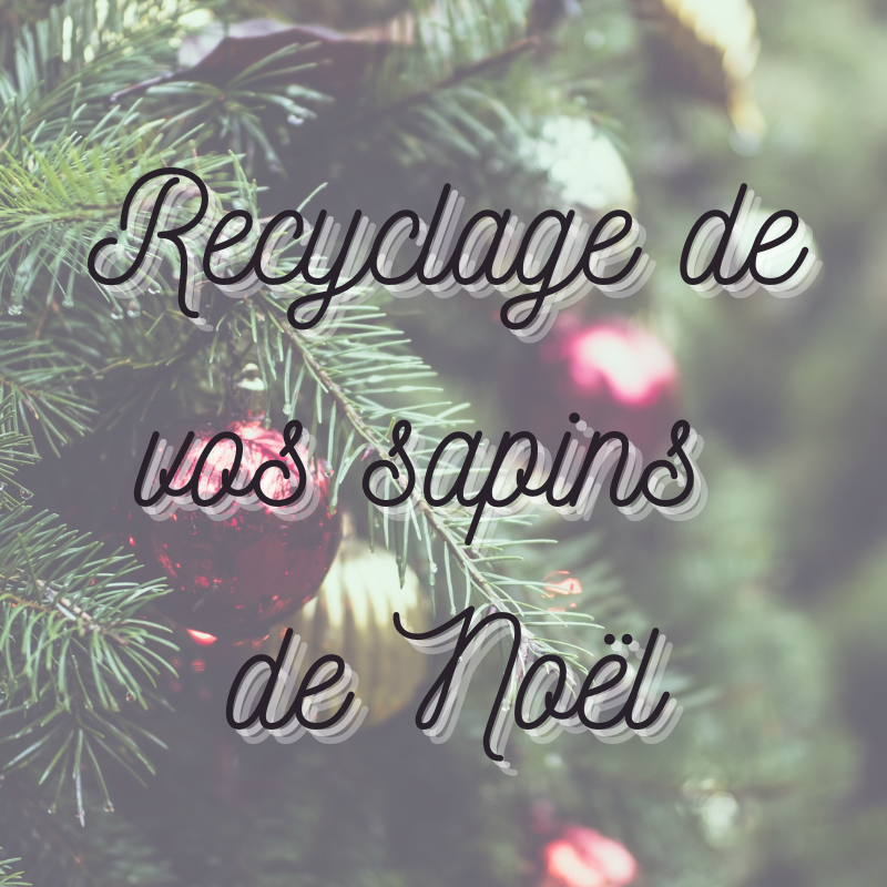 Recyclage de vos sapins de Noël